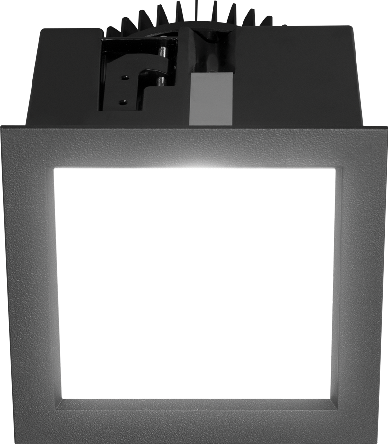 Flush Lens with Black Trim